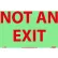 Glo-Brite Not An Exit Sign - Vinyl