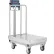 Balance de table mobile Global Industrial™ NTEP avec rail arrière, DEL , 500 lb x 0,1 lb