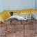 HydraBarrier Supreme Sandbag Alternative, 24'L x 12"H - HBG-24