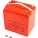 Batterie AGM pour le véhicule de transport de personnel Global Industrial™ 800574 et le Stock Chaser 800575