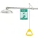 Douche d'urgence Global Industrial™, à montage horizontal, en acier inoxydable
