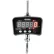 Balance numérique pour grue Global Industrial™ avec Remote 2000 lb x 1 lb