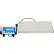 Balance numérique de table Brecknell LPS150, 150 lb x 0,05 lb, plateau de 12" x 15"