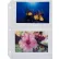 C-Line Products : Feuilles de rangement pour photos pour classeur à anneaux 35 mm, format 4 x 6, transparentes, à insertion latérale, 11 1/4 x 8 1/8, 50 par boîte
