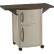 Suncast DCP2000 -  Meuble de service pour terrasse