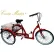 Husky Bicycles Tricycle adulte Cruise Master 24 pouces, T324, rouge