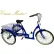 Husky Bicycles Tricycle adulte Cruise Master 24 pouces, T324, bleu