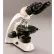 Microscope composé polarisant binoculaire d'entrée de gamme Meiji Techno MT-93L