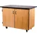Armoire scientifique mobile NPS avec étagères, plateau résistant aux produits chimiques, 48" de long x 28" de large x 36-1/4" de haut, noir/chêne