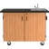 Armoire scientifique mobile NPS avec étagères et évier, plan de travail résistant aux produits chimiques, 48" de long x 28" de large x 36-1/4" de haut, chêne