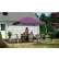 ShelterLogic, 22706, Auvent sport à montage rapide avec pieds inclinés, 12 ft. x 12 ft., violet