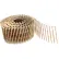 Clou pour bardage Freeman Coil SNRSG92-25WC, 2-1/2" x 0,92", en bande, tige annelée galvanisée, 3 600 pièces/boîte