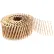 Clou pour bardage Freeman Coil SNRSG92-2WC, 2" x 0,92", en bande, tige annelée galvanisée, 3 600 pièces/boîte