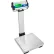 Balance de table numérique Adam Equipment CPWPlus 150P avec support d'affichage, 330 lb x 0,1 lb