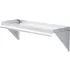 Stainless Steel Fixed Wall Mount Shelving