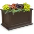 Plastic Planters
