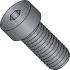 Low Head Socket Cap Screws