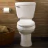Toilettes en deux parties avec surface Everclean