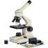 Microscopes composés