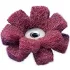 Satin Finishing Star Eyelet