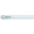 Ampoules fluorescentes T8