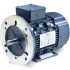 3-Ph IEC Metric Motors