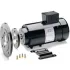 IEC Metric DC  Motors
