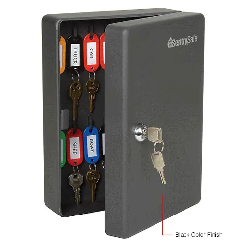 セキュリティ・セーフティ peace SentrySafe 25 Key Capacity, Key Box, Key Lock, 7-7/16