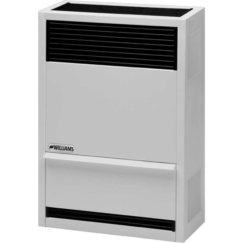 Williams Direct-Vent Gravity Furnace 1403821 Propane 14000 BTU | B2043939 -  GLOBALindustrial.ca