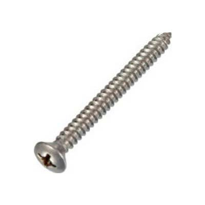 International Screw Sheet Steel Screw, Pack of 12