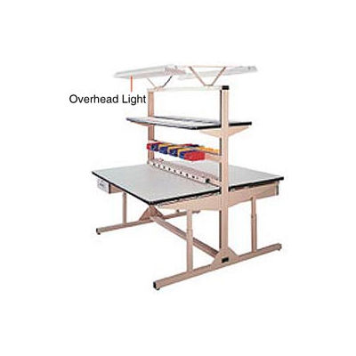Pro-Line Overhead Light Kit, 72"W, Tan