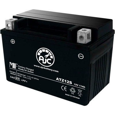 AJC Battery Yuasa YTZ12S Battery, 11 Amps, 12V, B Terminals | B2344706 ...