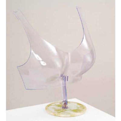 Libre debout soutien-gorge forme - En plastique transparent - Qté par paquet : 5