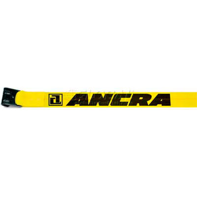 Ancra® 41660-10-30 3 "x 30' sangle de treuil avec 41766-18 plat crochet