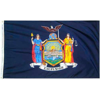 3 x 5 pieds 100 % Nylon New York State Flag