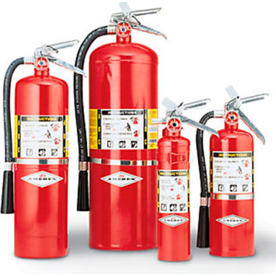 Fire Protection | Fire Extinguishers | Amerex Fire Extinguisher - 10 Lb ...