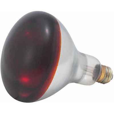 WINCO EHL-BR - Ampoule rouge pour lampe de chaleur EHL-2, 250W - Qté par paquet : 6