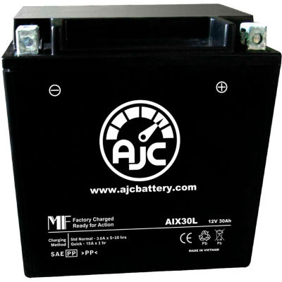 AJC Battery Arctic Cat Prowler 700 UTV Battery (2010-2017), 30