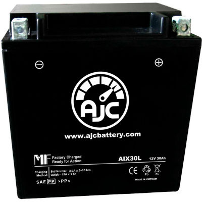 AJC Batterie Polaris RZR 4 RZR S 800 UTV Batterie (2010-2014), 30 Amps, 12V, B Terminals