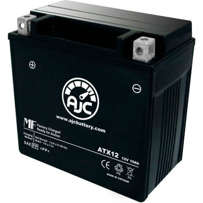 AJC Battery Hyosung GV650 Avitar Motorcycle Battery (2007), 10