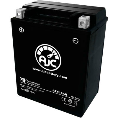 AJC Battery EverStart ES14AHBS Battery 