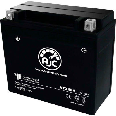 Batterie AJC Arctic Cat M9000 Battene motoneigiste (2014), 20 Ampères, 12V, Terminals B