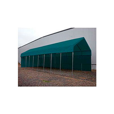 Daddy Long Legs Side Panel 70'L Green