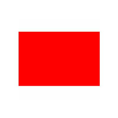 Étiquettes rectangulaires en papier, 6"L x 3"W, Rouge standard, Rouleau de 250