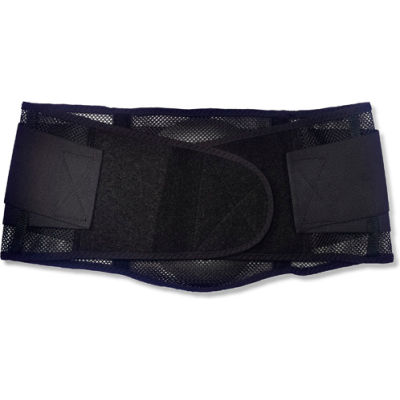 Ergodyne® ProFlex® 1051 Mesh Back Support, Black, Small
