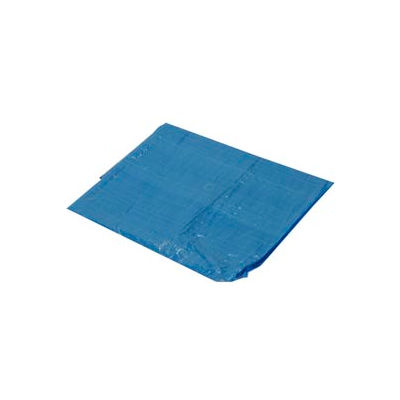 22' x 50' Light Duty 2.9 oz. Tarp, Blue - B22x50