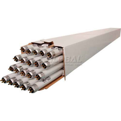 Hydrofarm T5 Replacement 6500K Bulbs, 54W, 4 Foot