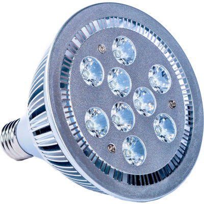 Ampoule de quai à DEL Ideal Warehouse Innovations (TL), 27 W, 1088 lumens, 6500K