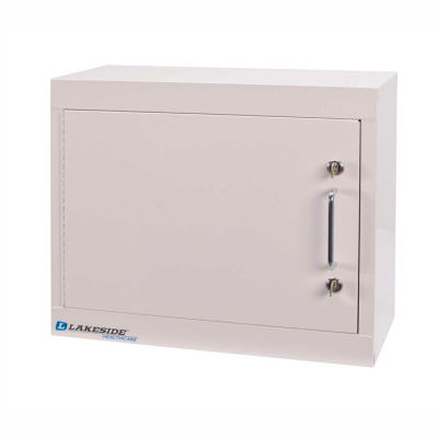 Lakeside® Narcotic Cabinet with 1 Adjustable Shelf, Single Door/Double Lock, Beige