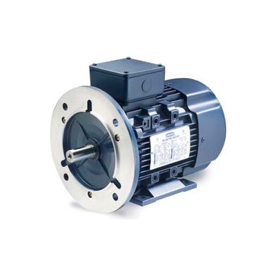 Leeson Motors Motor IEC Metric Motor-.5HP, 230/460V, 3410/2790RPM, IP55, B3/B5, 1.15 SF, 74 Eff.
